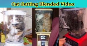 cat blender video footage twitter|cat being blended twitter.